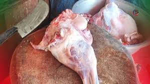 Goat feet