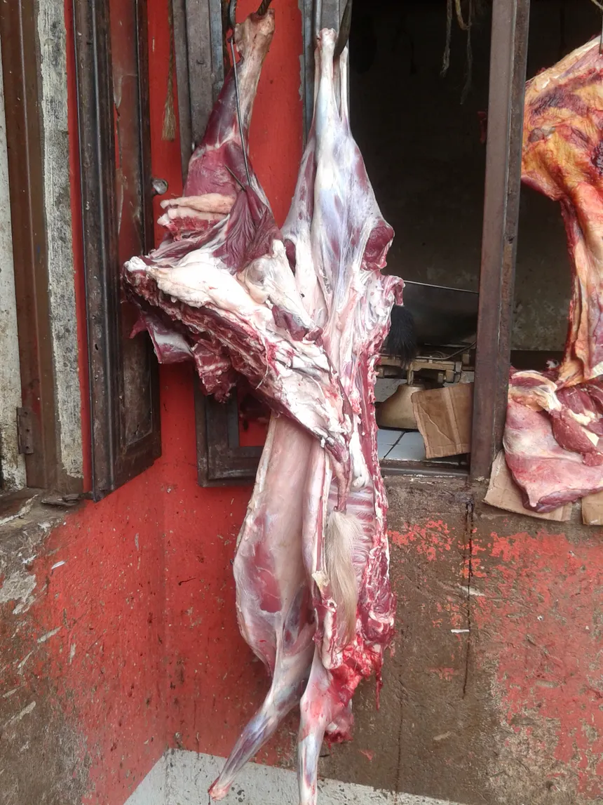 Goat chest cuts